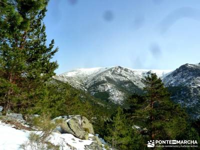 Siete Picos - Valle la Fuenfría; viaje febrero; actividad senderismo desde Madrid